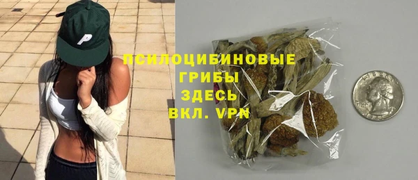 дмт Каменск-Шахтинский