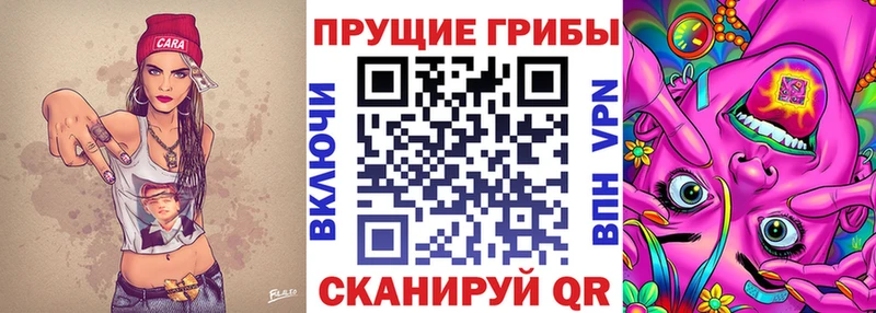 Псилоцибиновые грибы ЛСД  Певек 